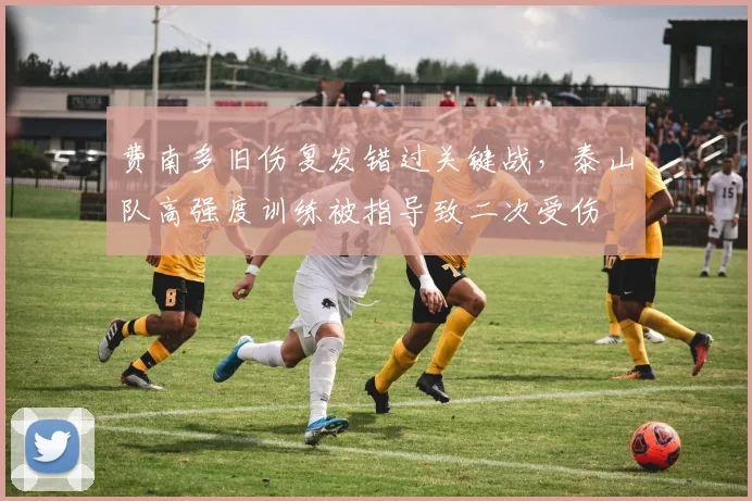 费南多旧伤复发错过关键战，泰山队高强度训练被指导致二次受伤